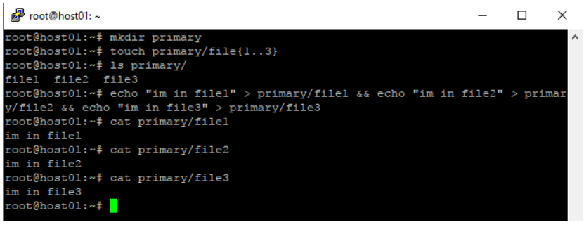 Creating 'primary' folder with files on the local server.