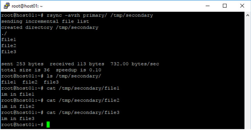 Executing rsync command to sync 'primary' folder