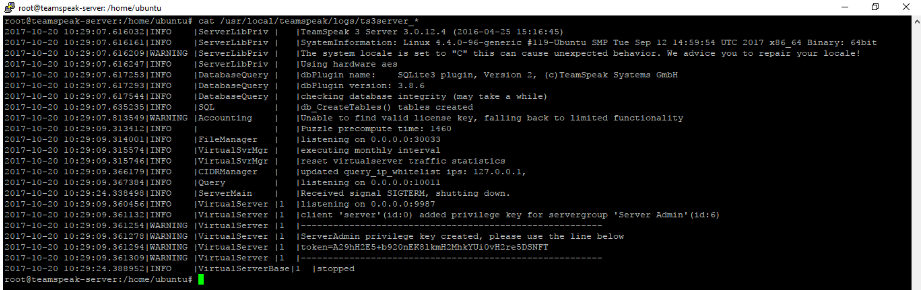 Retrieve the TeamSpeak Server privilege key by running the command