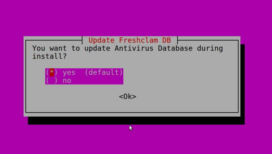 Select 'yes' to update Antivirus while install ISPConfig