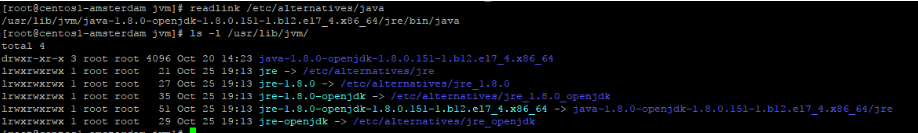Setting Up JAVA_* Variables
