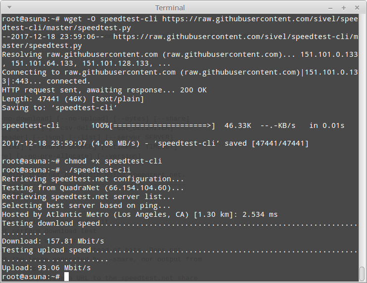 The output of the speedtest after executing the initial command.