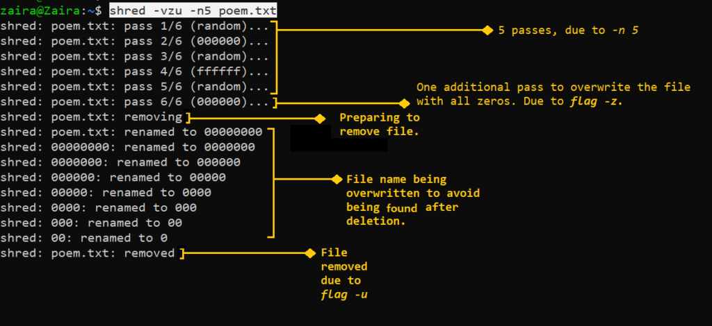 Deleting Directories in Linux image 4