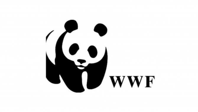 Famous logo 30