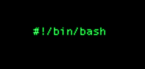 bash script