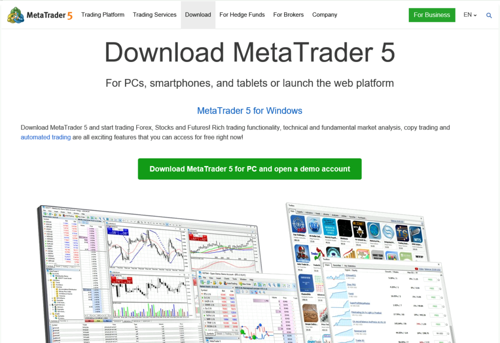 install MetaTrader on Windows Server 2019.Configurate step 5]
